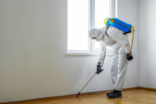 Pest Control for Warehouses in Big Rapids, MI